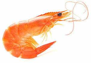 WHOLE SHRIMP(1LB)