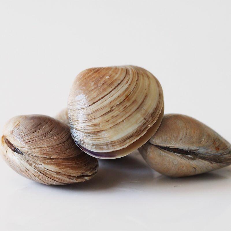 CLAMS(1LB)