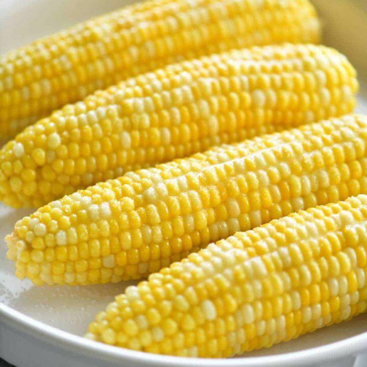 CORN ON THE COB(3)